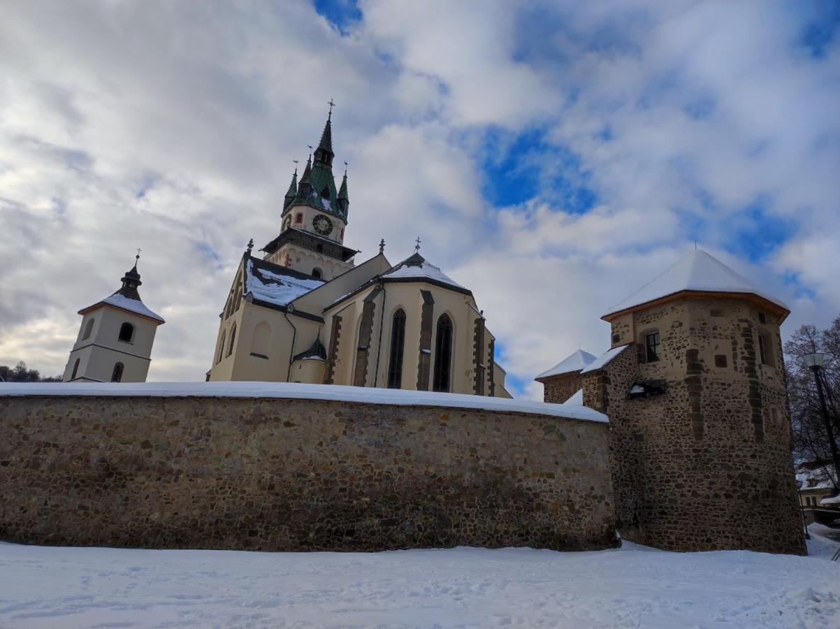 Krizkov Dom Daire Kremnica Dış mekan fotoğraf