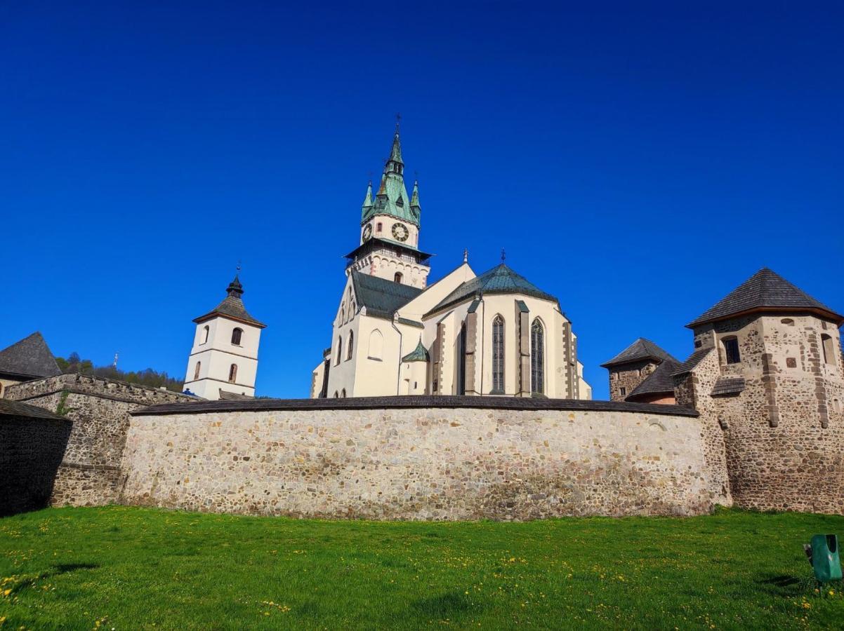 Krizkov Dom Daire Kremnica Dış mekan fotoğraf
